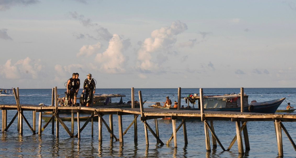 Party Life of a Diving Instructor