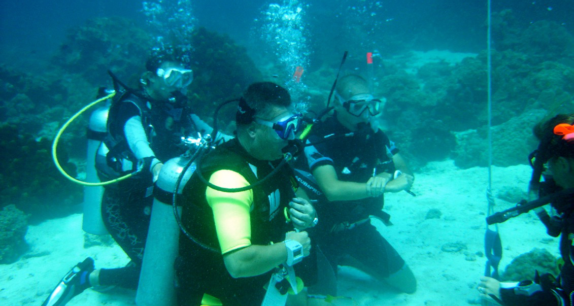 Open Water Presentations