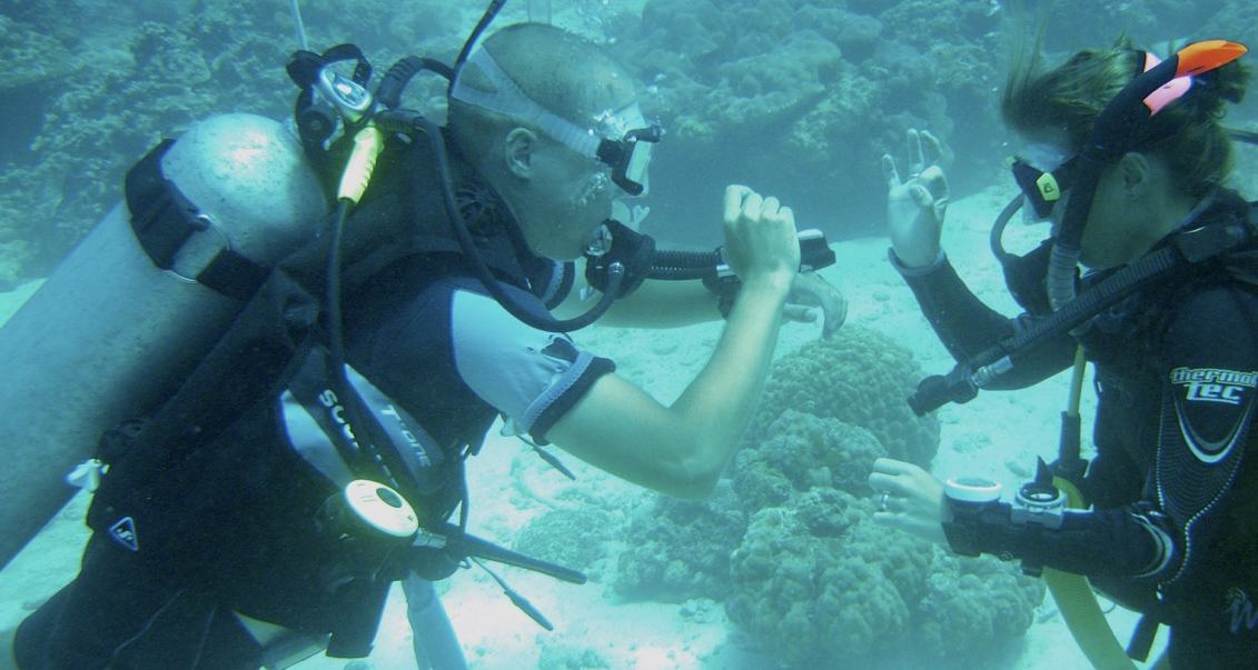 Open Water Presentations