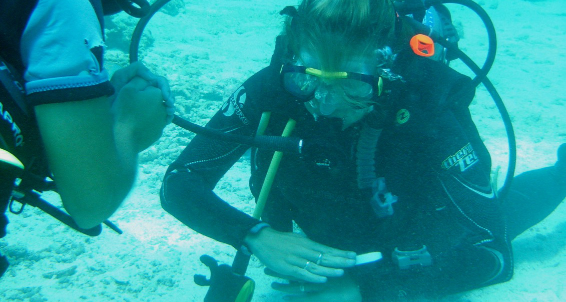 Open Water Presentations