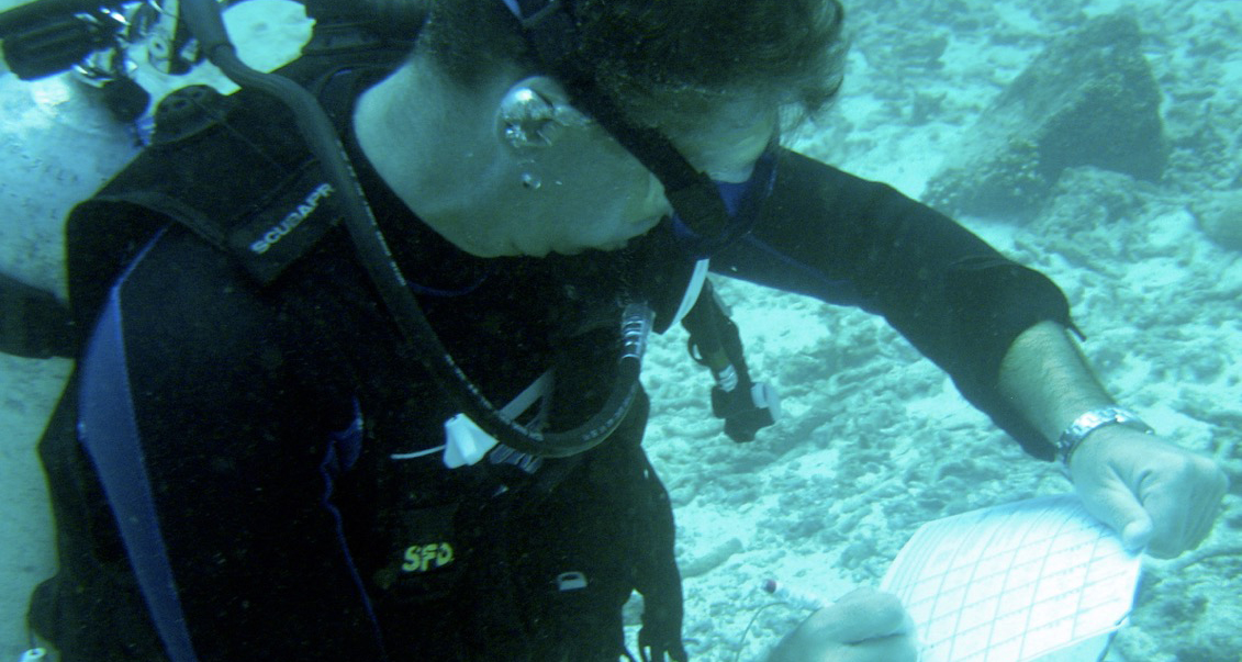 Open Water Presentations