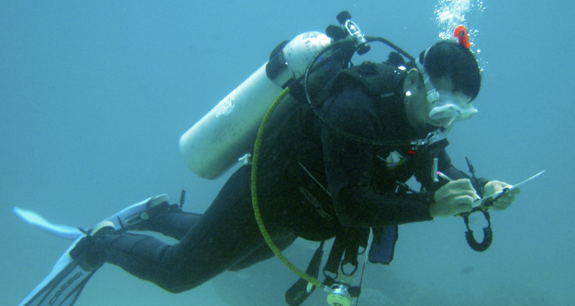 Open Water Presentations