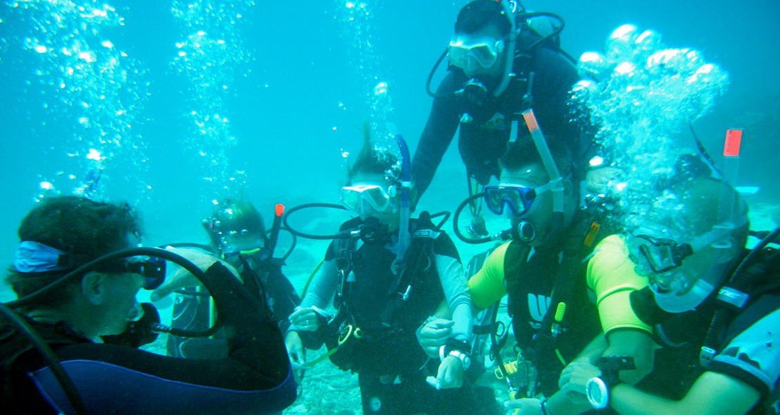 Open Water Presentations