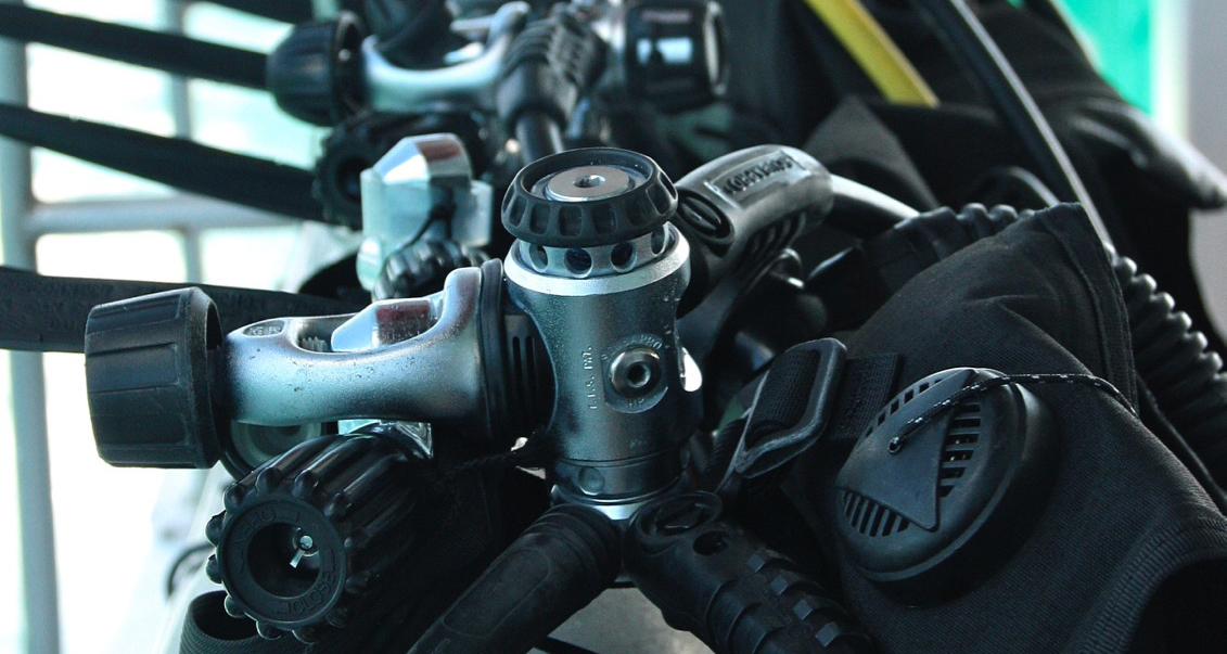 Our IDC Students in Action